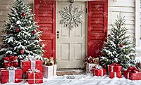 Snowy Cottage Door (PRE-ORDER)