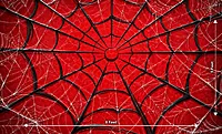 Spider Nexus