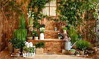 Spring Backyard (PRE-ORDER)