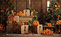 Tangerine Fresh (PRE-ORDER)