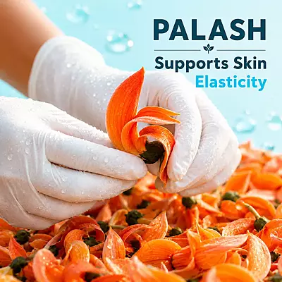 BHRAMAVRUKSHA Palash face & body butter