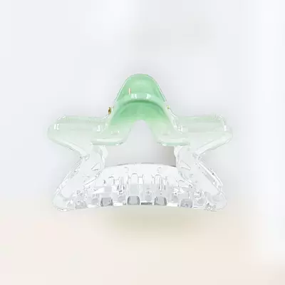 Chic Starfish Clear & Mint Green Hair Claw Clip - Medium Size
