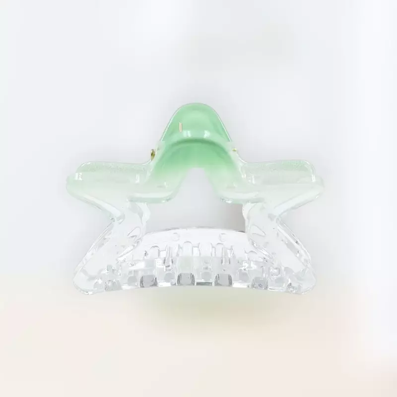 Chic Starfish Clear & Mint Green Hair Claw Clip - Medium Size