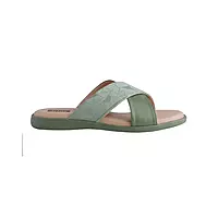 Aristo Slides