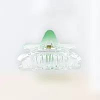 Chic Starfish Clear & Mint Green Hair Claw Clip - Medium Size
