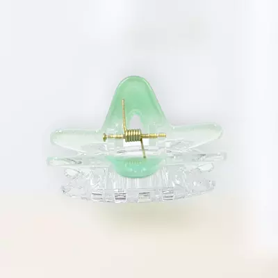 Chic Starfish Clear & Mint Green Hair Claw Clip - Medium Size