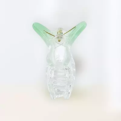 Chic Starfish Clear & Mint Green Hair Claw Clip - Medium Size