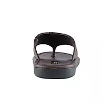 Oris Slippers