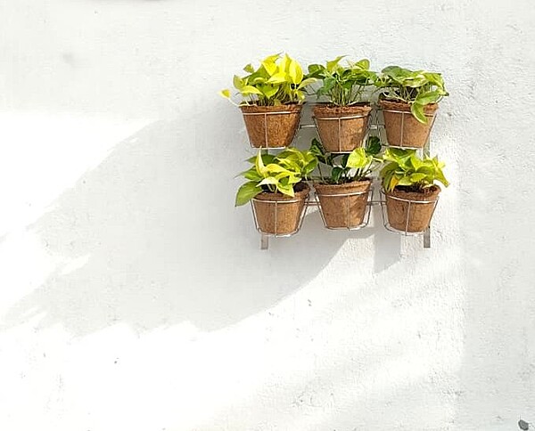 Vertical Garden Frame with Coir Pots & Baskets