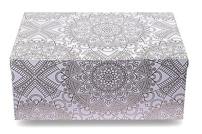 Qson Cup Cake Box 6CC Qson Cup Cake Box 6CC