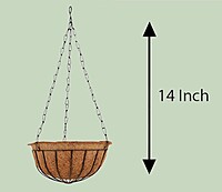 Coco Liner and Hanger Set | Coir Hanging Basket Planter | Multiple Sizes