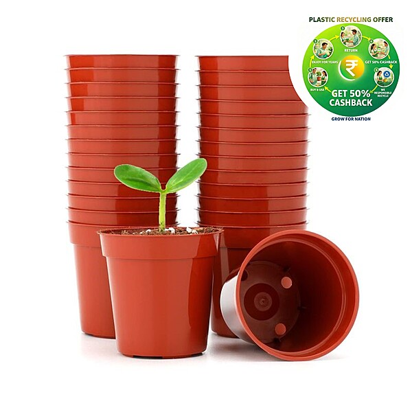 Nursery Flower Pot |6 Inch Pot| Red / White / Black