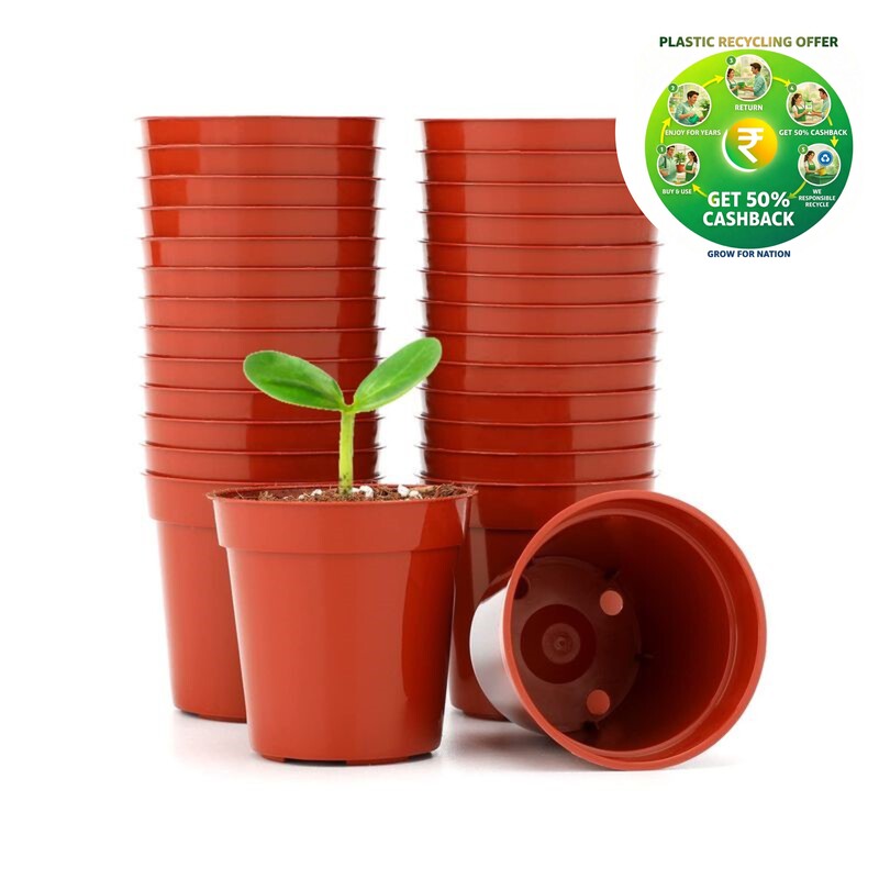 Nursery Flower Pot |6 Inch Pot| Red / White / Black