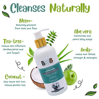 BWB LABRADOR SHAMPOO