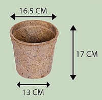 Coco Seedling Cup | Natural Coir Nursery Pots | Multiple Sizes