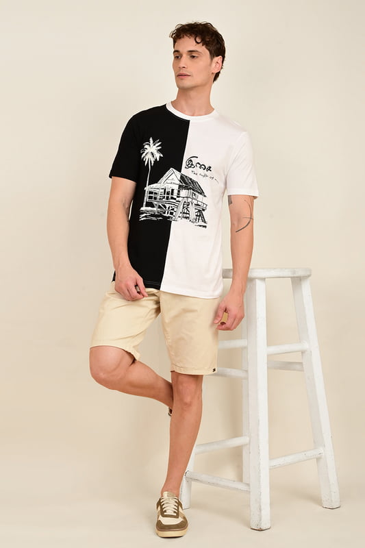 Men's Colour Block Printed Tshirt