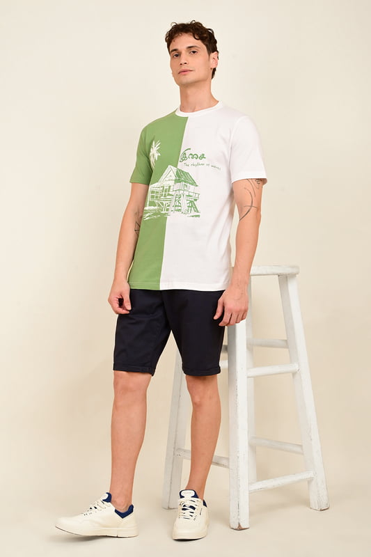 Men's Colour Block Printed Tshirt