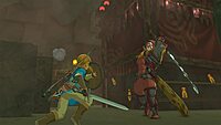 Nintendo The Legend of Zelda: Breath of the Wild |Switch| Pre owned|