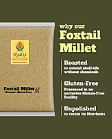 Foxtail Millet | Unpolished and Roasted