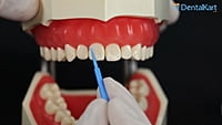 Cotisen Dental Micro Applicators Tips – Disposable Micro Brush Applicators