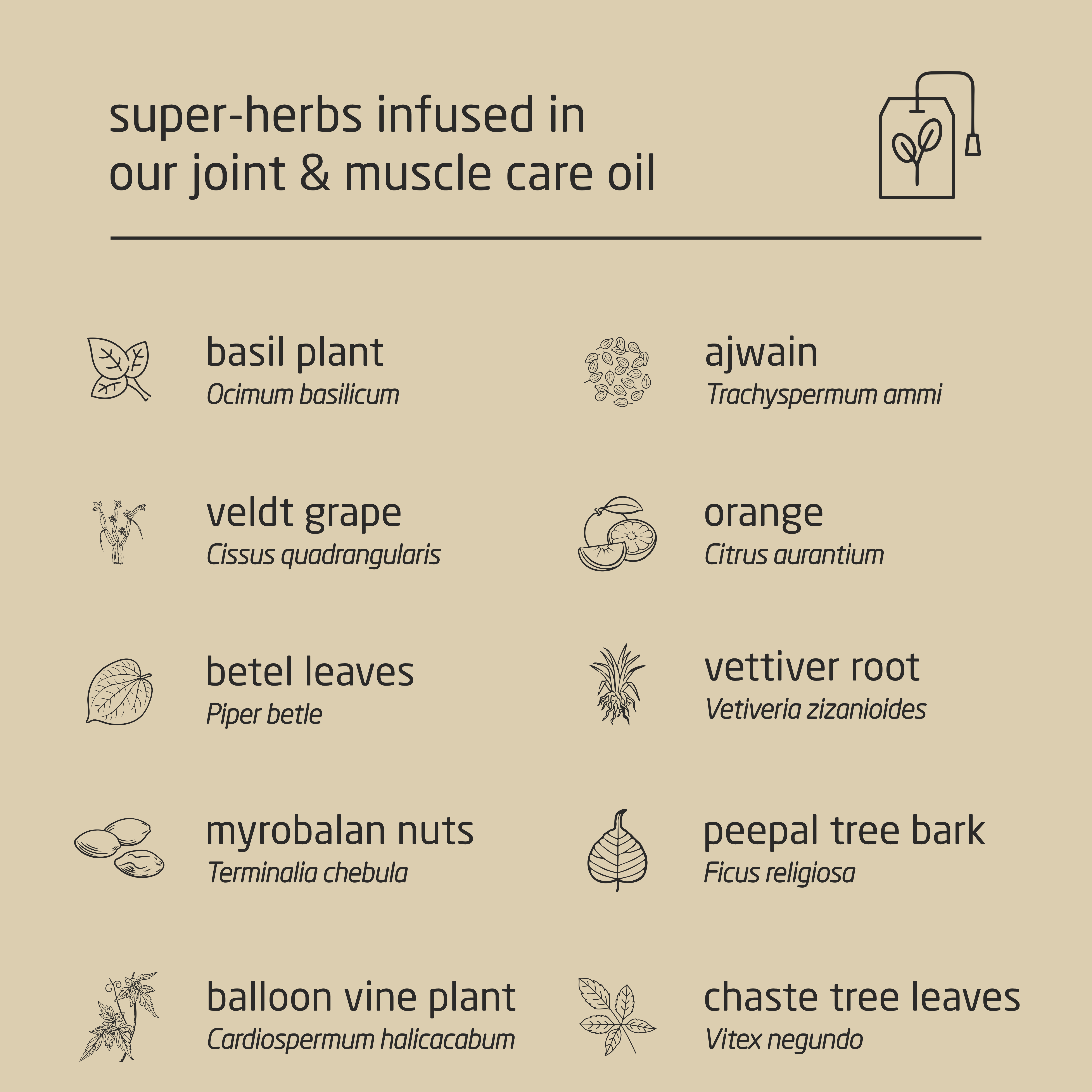 Premium Herbal Cold-Infused Joint & Muscle Care Oil - 100ml