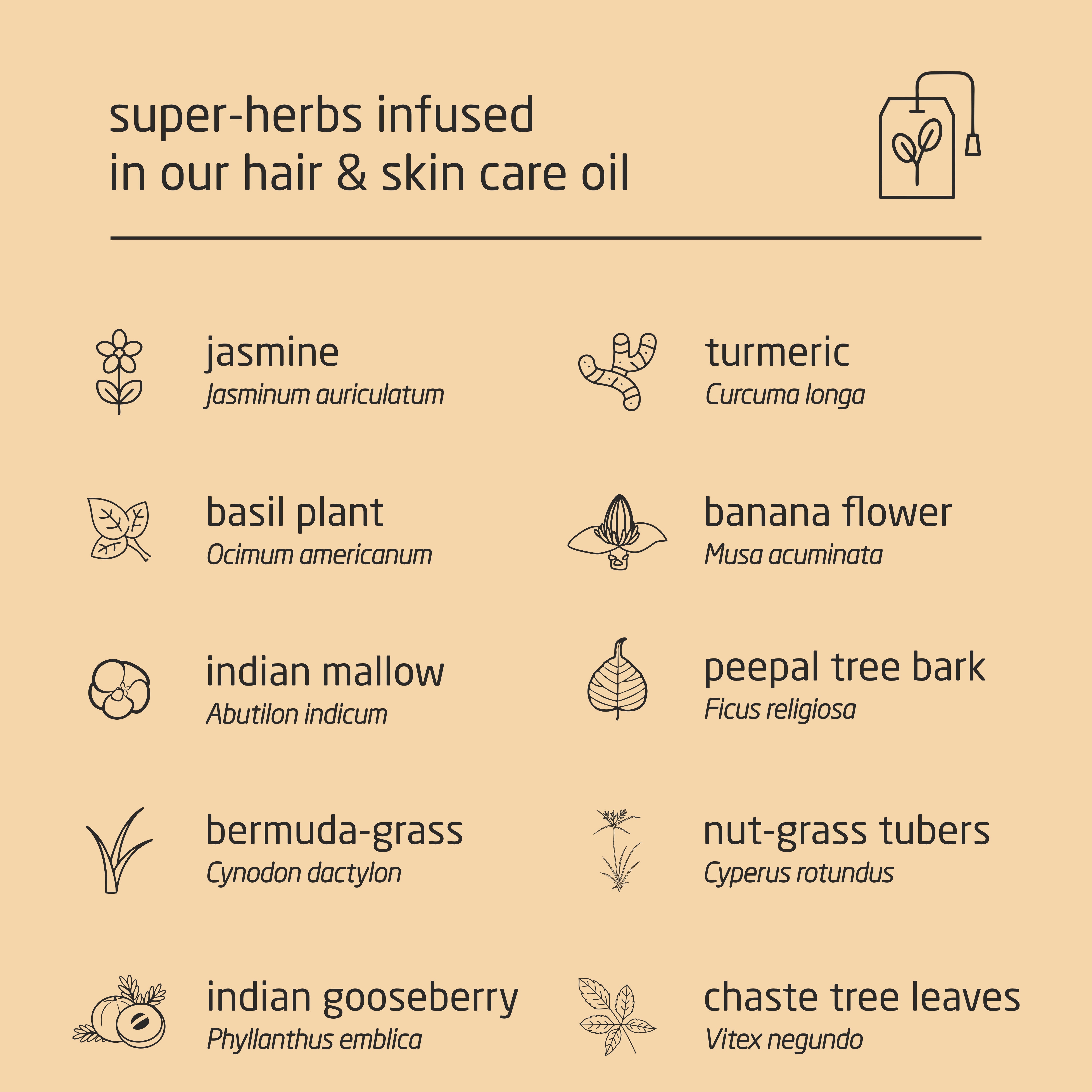 Premium Herbal Cold-Infused Hair & Skin Care Oil - 100ml