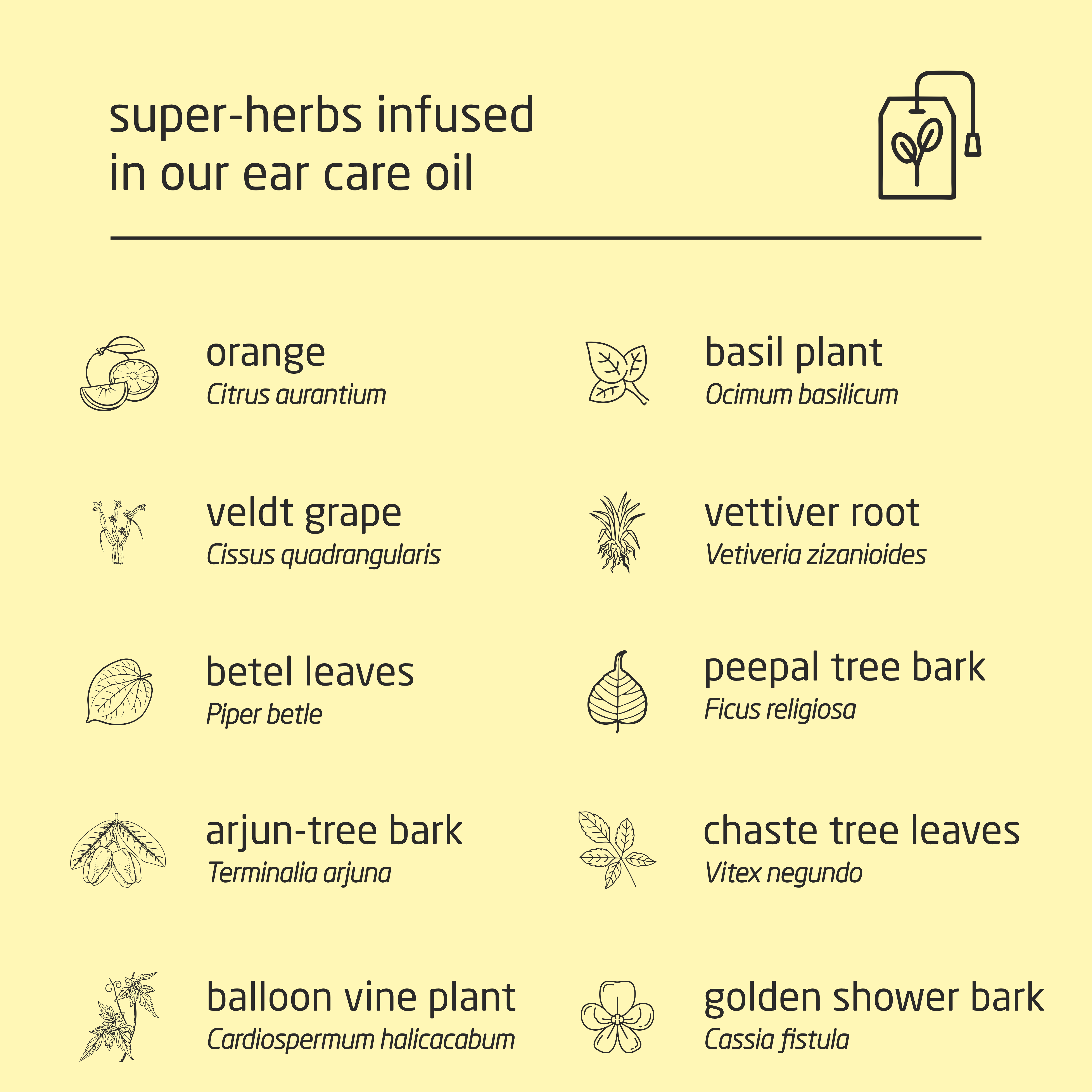 Premium Herbal Cold-Infused Ear Care Oil - 100ml