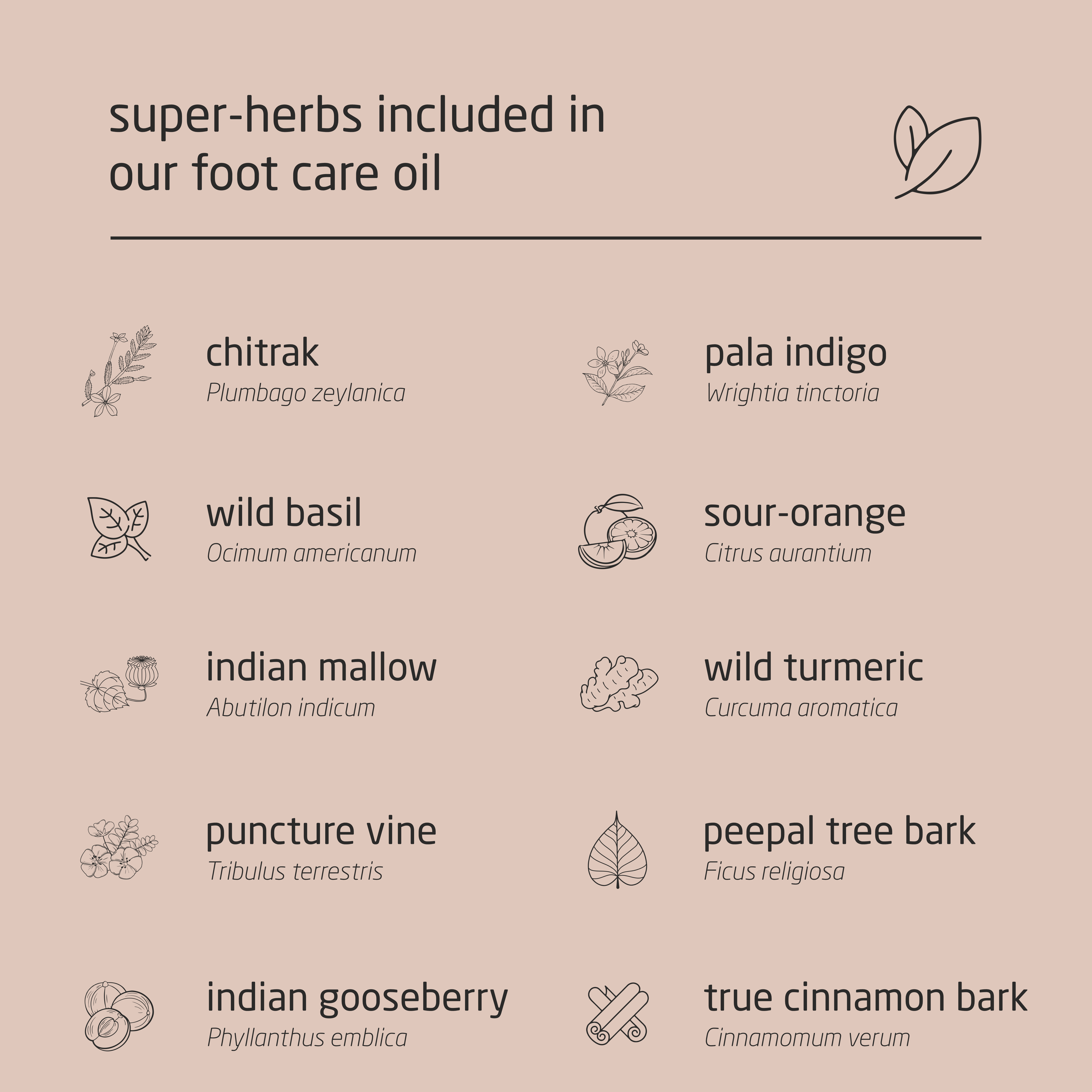 Premium Herbal Cold-Infused Foot Care Oil - 100ml