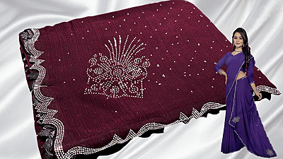 Samiksha Chiffon Stone Work Saree - Brown Red Samiksha Chiffon Stone Work Saree - Brown Red