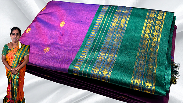 Retta Patta Kanchi Silk Saree - Purple & Pine