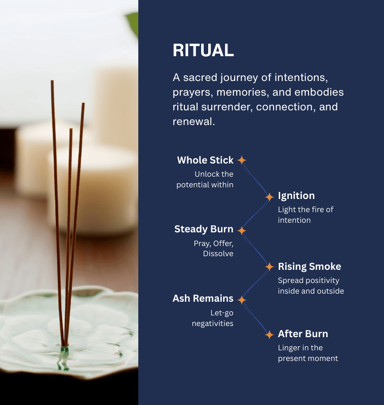 01- Modern collection