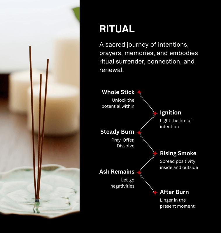 02- modern collection