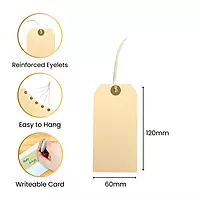 Pack of 10 Assorted Pastel Coloured Strung Tags 60 x 120mm