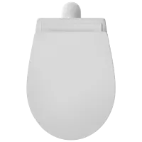 EWC-22111PP Apple EWC S Trap With Normal Close Seat Cover, Hinges, Fixing Accessories