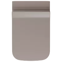 WHC-LW-29321PP Lush Brown Lavish Rimless Wall Hung Closet With Soft Close Seat Cover, Hinges, Accessories Set