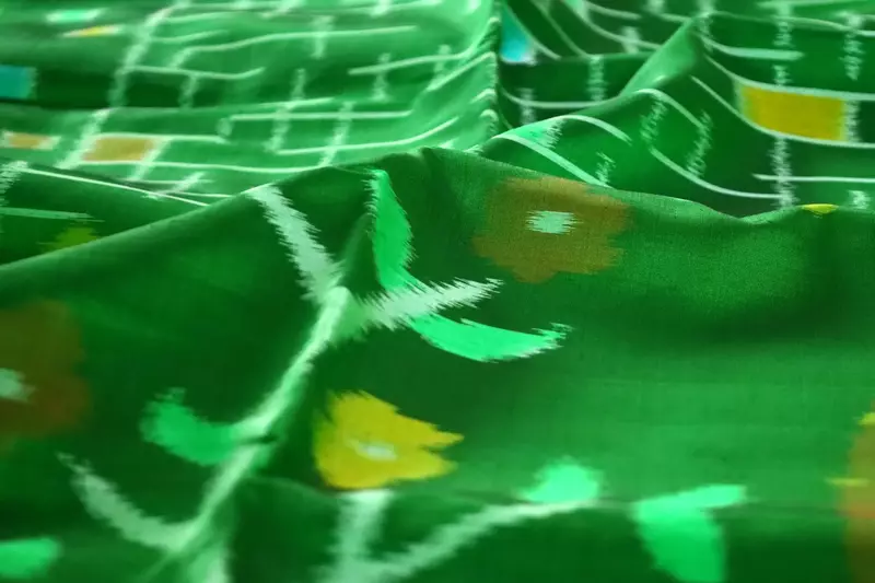 Green Ikat Silk Saree with Traditional Handwoven Motifs