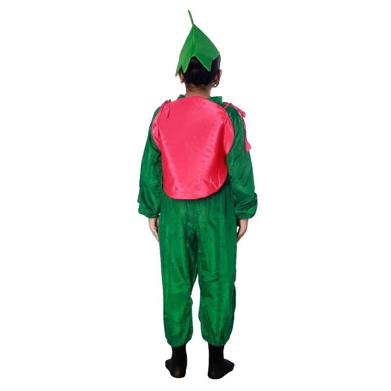 Kiwi Fancy Dress Costume Kiwi Fancy Dress Costume