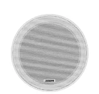 DSPPA 6.5 Inch Surface Mount Ceiling Speaker