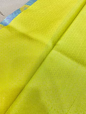 ?? Turquoise Blue & Lime Green Silk Saree
A vibrant turquoise blue silk saree beautifully adorned with golden floral motifs and subtle woven foliage patterns.