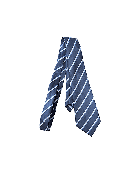 JPS Unisex Tie (1st Std - 10th Std)