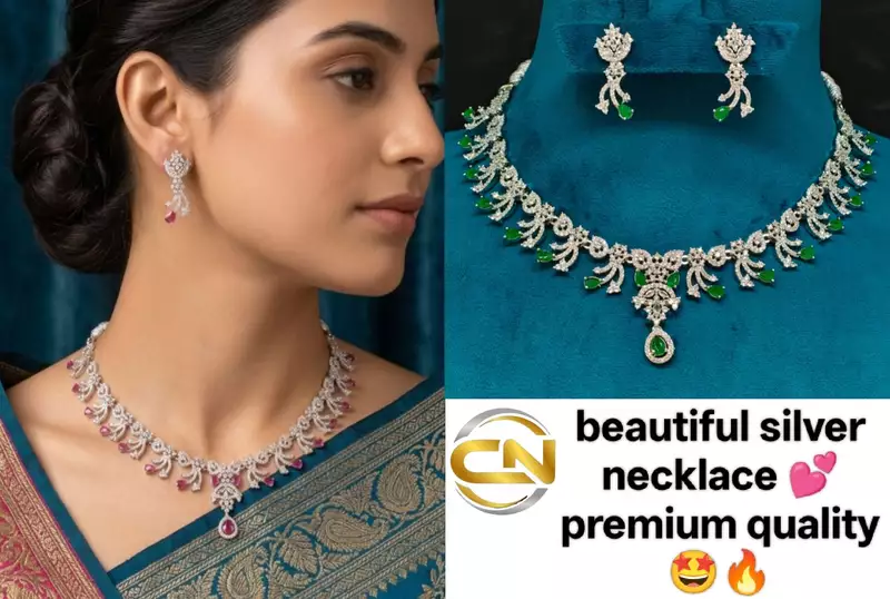 beautiful silver necklace ?
