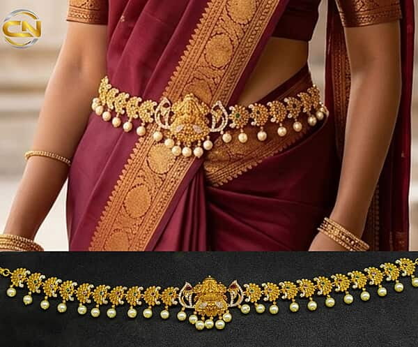 Lakshmi devi vadyanam ?
