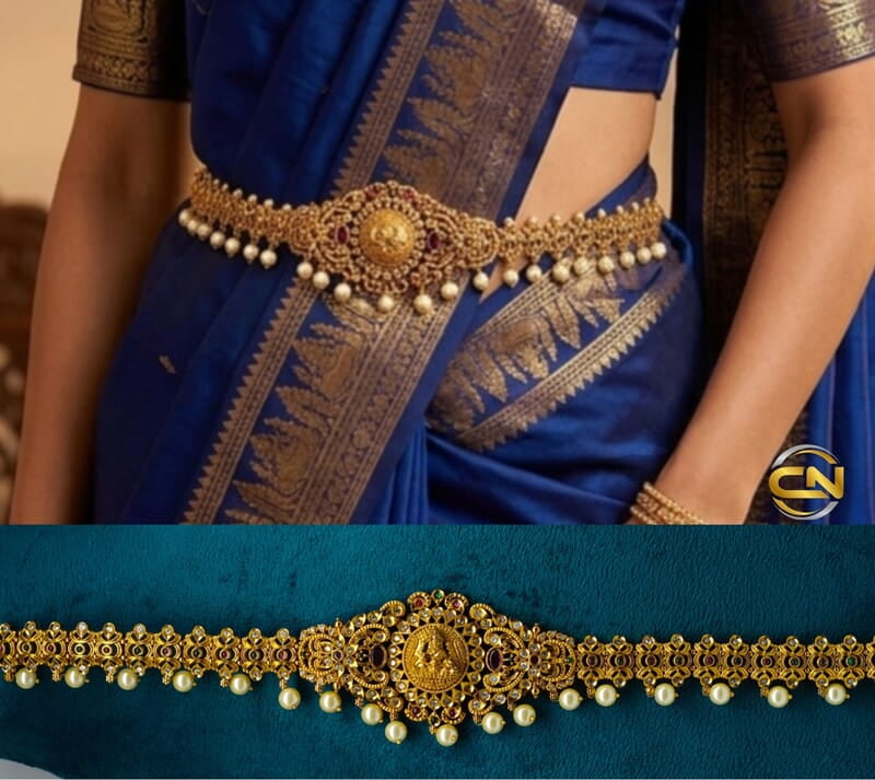Lakshmi devi vadyanam ✨