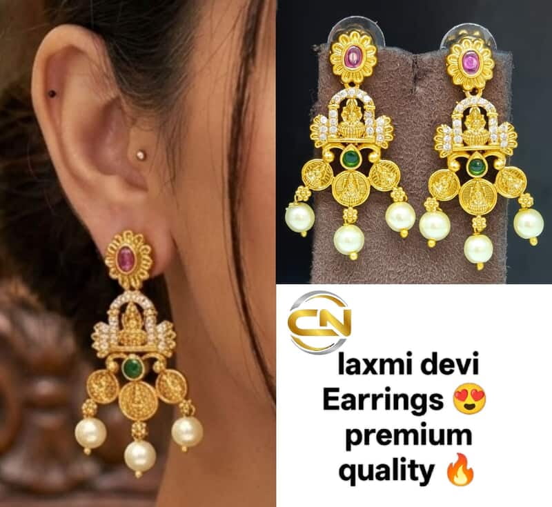 laxmi devi earning ?