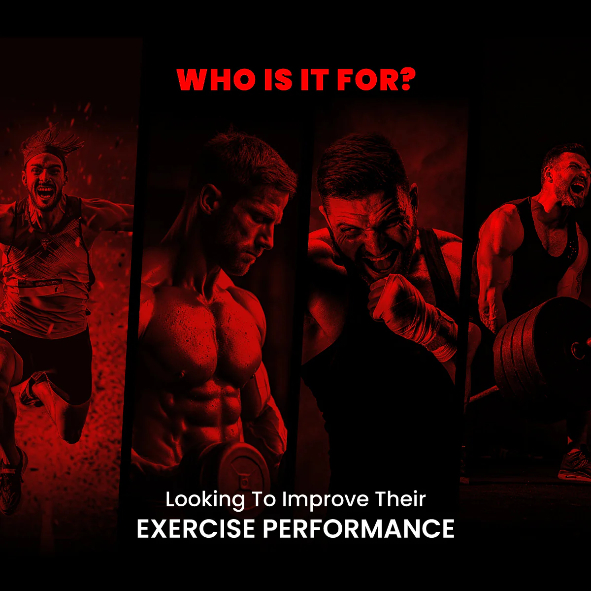 Bigmuscles Nutrition Karnage Pre-Workout