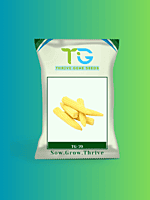 Hybrid Baby Corn TG-70