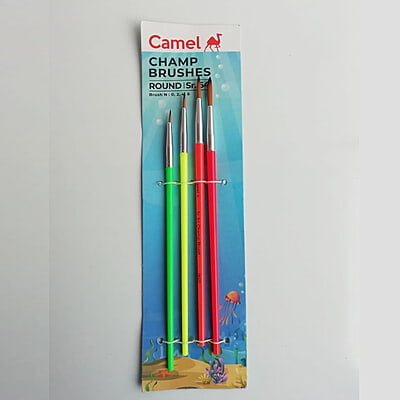 Camlin Round Brush Champ Set of 4