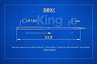DBX1
