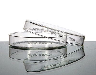 Petri DIsh Manufactured from BORO 3.3 Glass GLASSCO