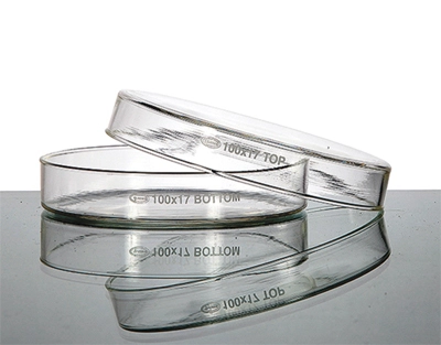 Petri DIsh Manufactured from BORO 3.3 Glass GLASSCO